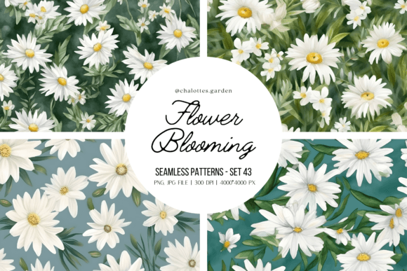 Daisy Flowers Seamless Patterns Vol.2