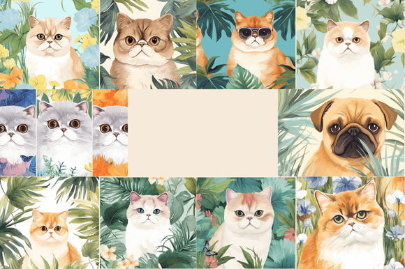 Exotic Shorthair Patterns: A Versatile Tool for Creative Projects